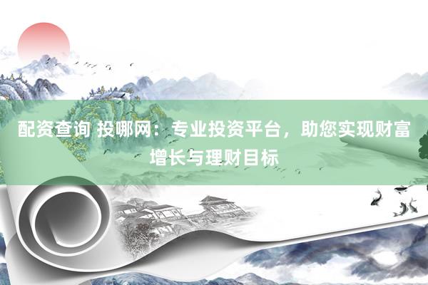 配资查询 投哪网：专业投资平台，助您实现财富增长与理财目标