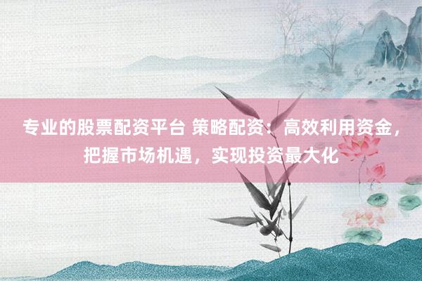 专业的股票配资平台 策略配资：高效利用资金，把握市场机遇，实现投资最大化