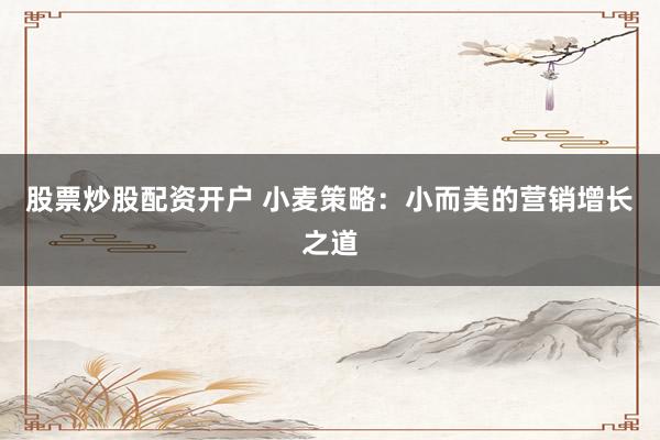 股票炒股配资开户 小麦策略：小而美的营销增长之道