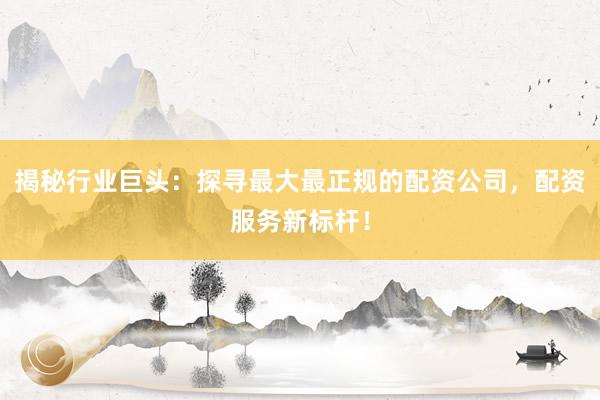 揭秘行业巨头：探寻最大最正规的配资公司，配资服务新标杆！