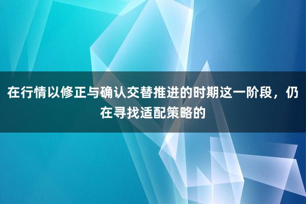 在行情以修正与确认交替推进的时期这一阶段，仍在寻找适配策略的